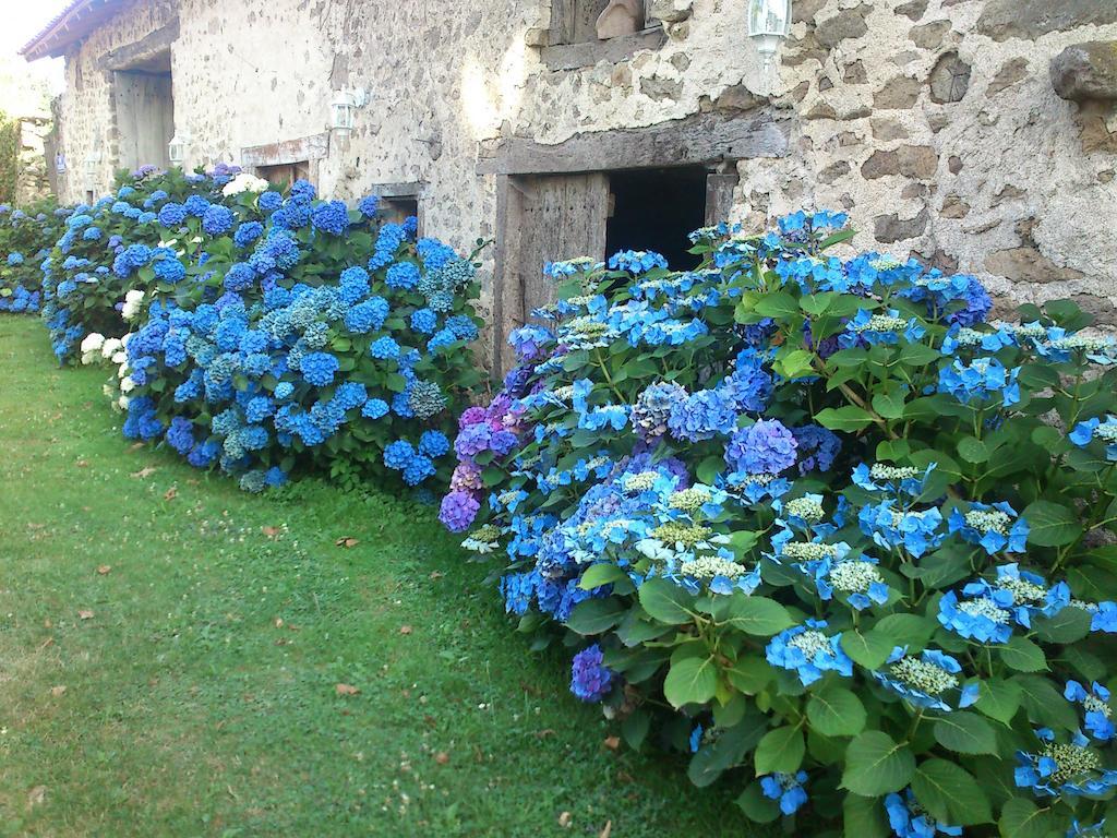 Le Domaine De Panissac Bed & Breakfast Berneuil  Eksteriør bilde